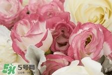 鮮花怎么養(yǎng)？鮮花怎么養(yǎng)放的比較久？