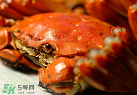 春天的螃蟹能吃嗎？開春后大閘蟹能吃嗎？
