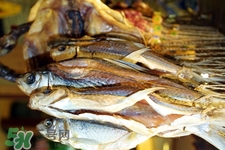 禽流感可以吃魚嗎？禽流感期間能吃魚嗎？