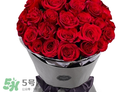玫瑰花放在水里怎么養(yǎng)？玫瑰花插水里怎么養(yǎng)？