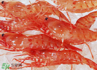 凍蝦能放多久？?jī)鑫r放冰箱冷藏多久？