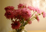 鮮花怎么養(yǎng)？鮮花怎么養(yǎng)放的比較久？