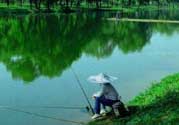 春天釣魚用什么餌料？春天釣魚用腥還是香？