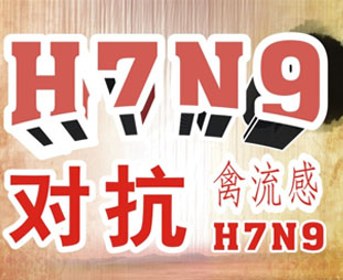 禽流感期間吃什么？預防禽流感吃什么好？