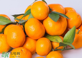 桔子批發(fā)多少錢一斤？桔子多少錢一斤？