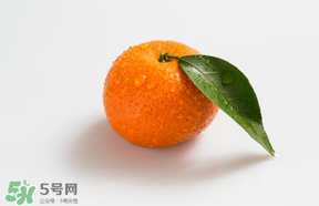 桔子批發(fā)多少錢一斤？桔子多少錢一斤？