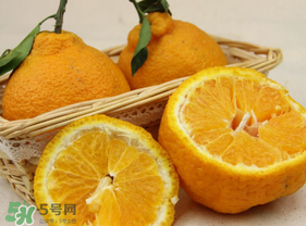 丑橘少錢一斤？丑橘一斤幾個(gè)？