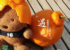 丑橘少錢一斤？丑橘一斤幾個(gè)？