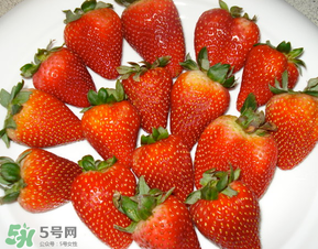 奶油草莓是什么品種？奶油草莓和巧克力草莓的區(qū)別 
