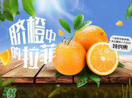 給寶寶吃臍橙好還是血橙好？臍橙好吃還是血橙好吃？