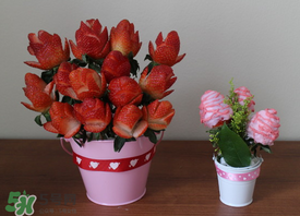 草莓花束怎么做？草莓花束怎么扎起來？