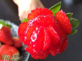 草莓花束怎么做？草莓花束怎么扎起來？