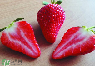九九草莓多少錢一斤？99草莓價格是多少？