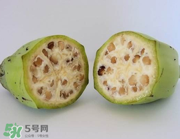 野香蕉可以吃嗎？野香蕉怎么吃？
