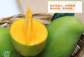 青芒果硬的能吃嗎？青芒果沒熟能吃嗎？