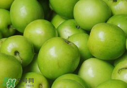 青棗是熱性還是涼性？青棗是涼性的嗎？