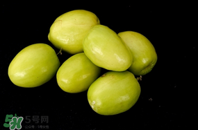 青棗什么時候上市？青棗什么時候成熟？