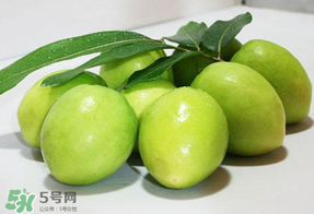 青棗什么時候上市？青棗什么時候成熟？
