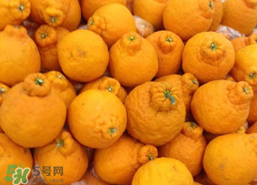 丑橘是轉(zhuǎn)基因嗎？丑八怪是轉(zhuǎn)基因的嗎？