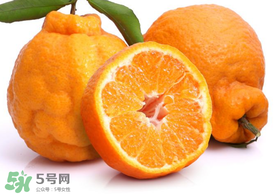 丑橘是轉(zhuǎn)基因嗎？丑八怪是轉(zhuǎn)基因的嗎？