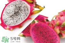 3月份有火龍果吃嗎？三月份可以吃火龍果嗎？