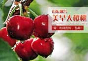 美早和黑珍珠哪個(gè)好吃？美早和黑珍珠的區(qū)別