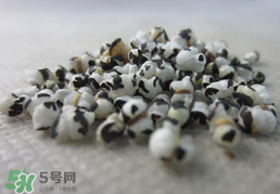 穿山甲下奶怎么吃？穿山甲下奶效果好嗎？