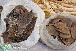 穿山甲下奶怎么吃？穿山甲下奶效果好嗎？
