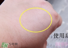 canmake花瓣高光怎么用？canmake花瓣雕刻高光使用方法