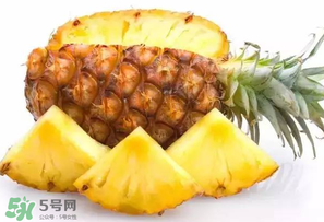 菠蘿批發(fā)多少錢一斤？菠蘿批發(fā)價(jià)格
