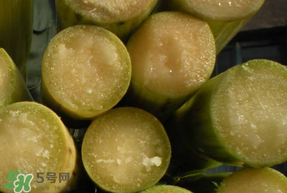 甘蔗要洗嗎？吃甘蔗時(shí)要用鹽水洗嗎？