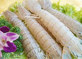 皮皮蝦為什么沒有肉？皮皮蝦為什么里面沒肉？