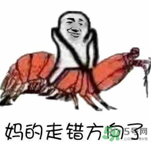 說人皮皮蝦是什么意思？女生叫男生皮皮蝦什么意思？