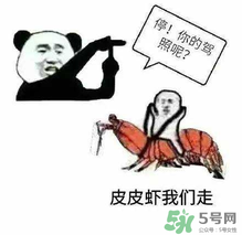 皮皮蝦為何突然火了？皮皮蝦怎么火的？