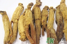 高麗參適合什么人吃？什么人不能吃高麗參？