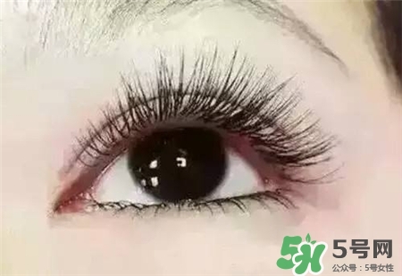 孕睫術(shù)是什么？孕睫術(shù)有用嗎？