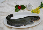清江魚熱量高嗎？吃清江魚會胖嗎？