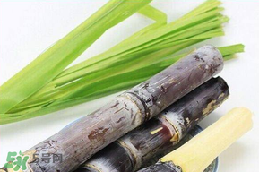 甘蔗發(fā)霉能吃嗎？吃了發(fā)霉的甘蔗怎么辦？