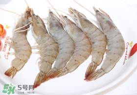 青蝦多少錢一斤？活青蝦多少錢一斤？