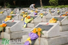 清明節(jié)能出游嗎？清明節(jié)可以出去旅游嗎？