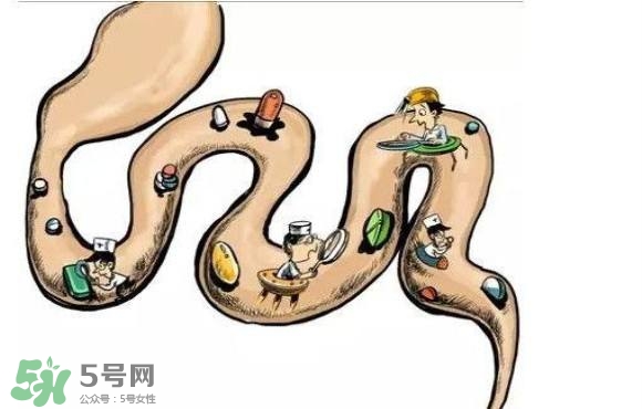 便秘吃什么藥好？便秘吃什么藥最快排便？