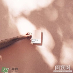 肉桂色口紅哪個(gè)牌子好？肉桂色口紅推薦