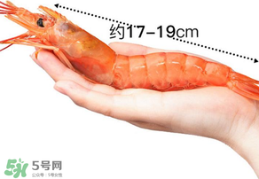 活蝦灌膠水是真的嗎？活蝦灌膠水人吃了會有什么害處？