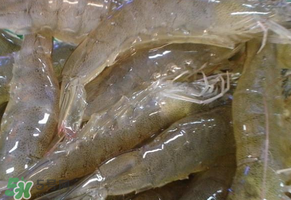 活蝦灌膠水是真的嗎？活蝦灌膠水人吃了會有什么害處？