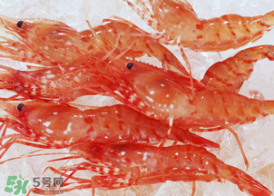 蝦凍了一年還能吃嗎？蝦凍了半年還能吃嗎？
