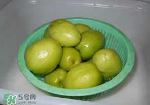 一斤青棗的熱量是多少？吃一斤青棗會胖嗎？