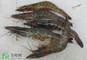 青蝦變黑了還能吃嗎？青蝦為什么變黑？