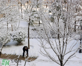 春天下雪意味著什么？春天為什么會下雪？