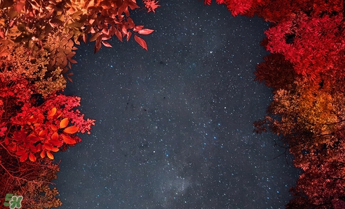 紅棕色是什么顏色？紅棕色口紅試色