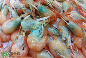 蝦變綠了能吃嗎？?jī)鑫r變綠了能吃嗎？
